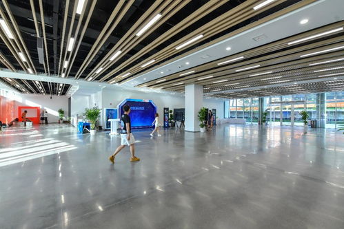 相约湖北 梦幻灵境AI展演中心即将开馆，共探网络技术开发新前沿