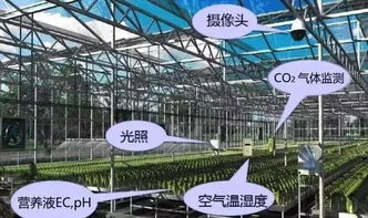 前沿探索 网络技术驱动下现代智慧农业发展的五大趋势