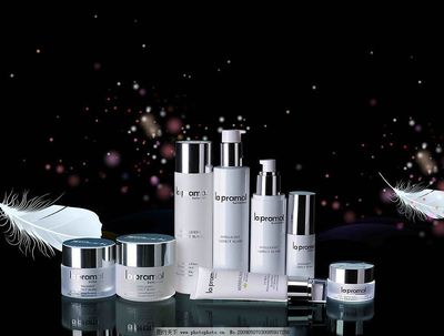 化妆品与家用电器 现代家庭的双重魅力