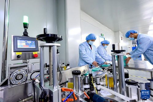 网络技术驱动河北邱县食品企业生产忙